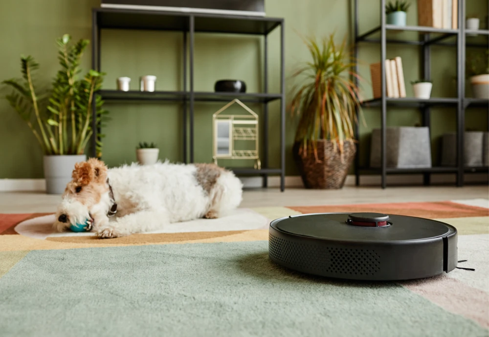 cleaning robot vacuum